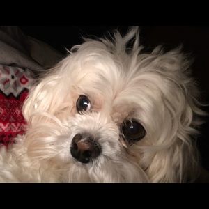 Meet your Posher, Twyla